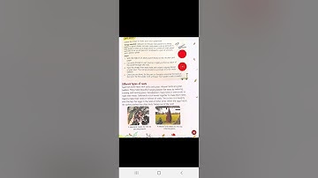 4-CLASS-EVS-CHAPTER-12(Part-3)WHERE ANIMALS LIVE