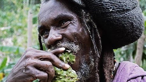 Rastafarian encounter in the Canaan Mountains, Jamaica