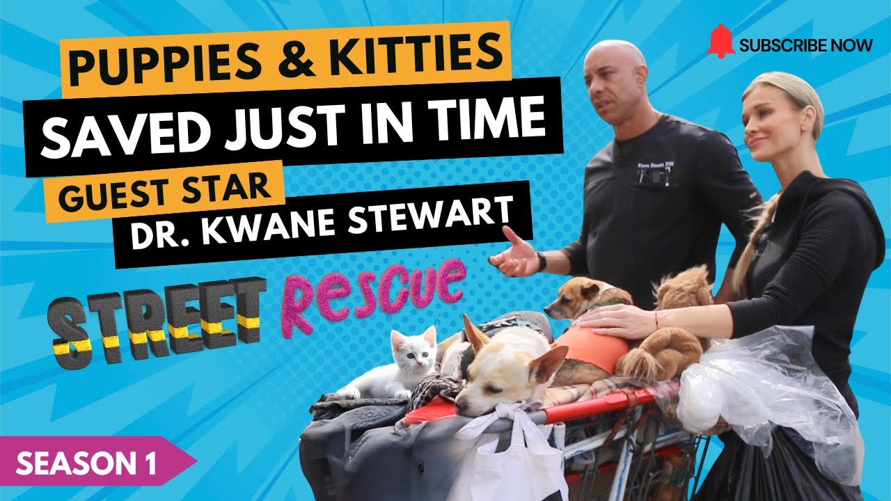 Joanna Krupa teams up with none other than Dr. Kwane Stewart, the beloved Street Vet,
