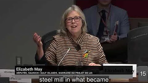 Elizabeth testifies to Senate committee about her private members bill C-226