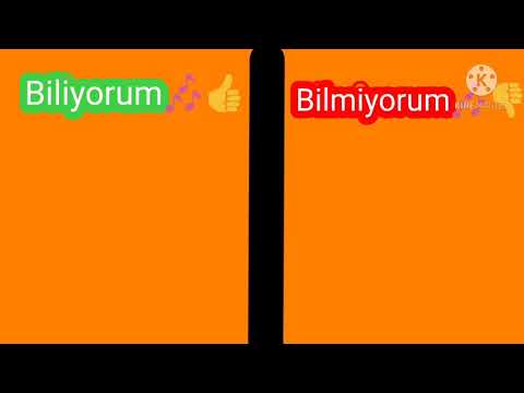 Biliyorum Bilmiyorum (Türkçe Şarkılar)