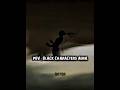 Pov Black Character рџ ї Shorts Oktor Pov Black Character рџ ї Shorts Oktor