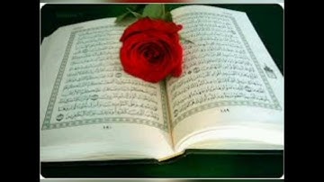 فوائد القرآن الكريم شفاء لما في الصدور وبما اوصاني سيدنا الشيخ الشعراوي رحمه الله تعالى رحمه واسعة