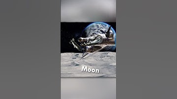 What Bombardino Crocodilo is the BEST?