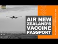 How New Zealand Will Open Borders To International Travel