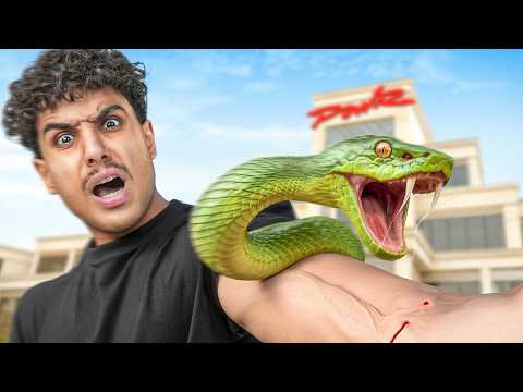 جربت انعض من اخطر الحيوانات