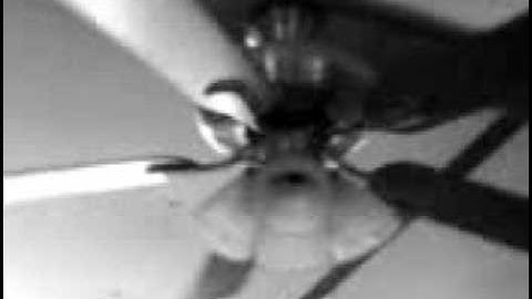 Creation (Indie Film)