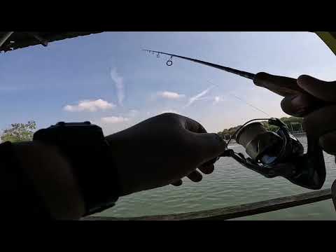 GASAKK !! DI KOLAM PANCING SEA LION 3 SHAFIQ. EPISOD 22 - YouTube