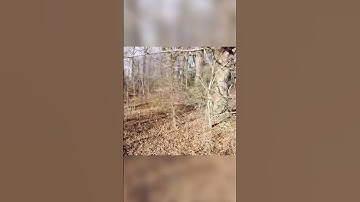 Checking Traps with a Drone! #trapping #trappingseason #predators #predatorcontrol #chickens