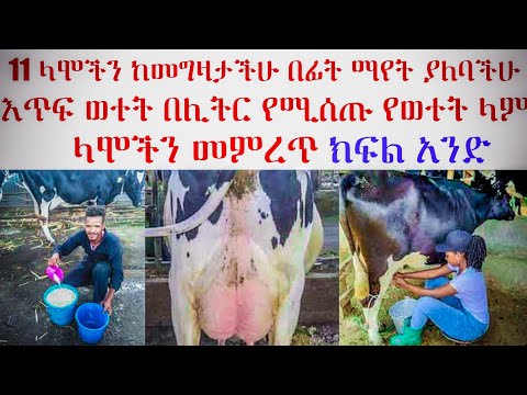 ቪዲዮ: የወተት አበባ፡የወተት እፅዋትን እንዴት እንደሚያሳድጉ