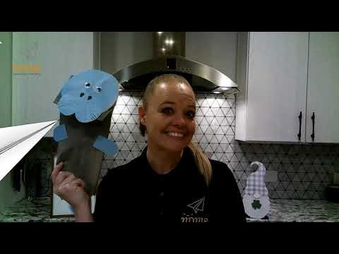 National Manatee Appreciation Day! March 29th 2023 - YouTube