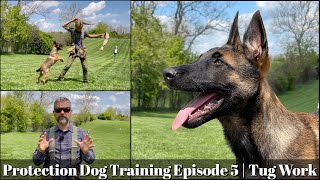 Teaching My Son To Train Protection Dogs Episode 5 | Malinois Dutch & Shepherd Tug Work