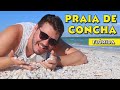 PRAIA EXÓTICA NA FLORIDA TEM CONCHAS NO LUGAR DE AREIA E UM PÔR DO SOL MATADOR | FORT MYERS