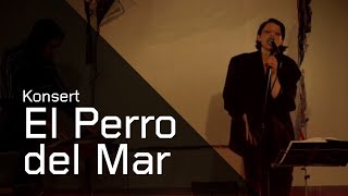 Live session: El Perro del Mar | Konsert