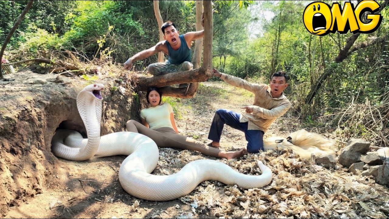 Large Snake Rake 4 Brave Experts Dig Up and Capture a Giant Snake - YouTube