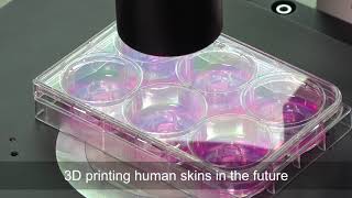 Human Skin Equivalent 3D Printing Technology