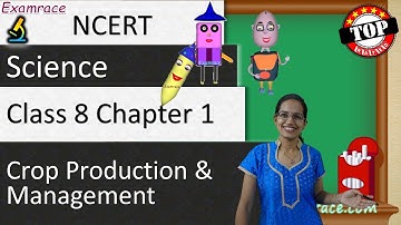 NCERT Class 8 Science Chapter 1: Crop Production & Management (NSO/NSTSE/Olympiad) | English