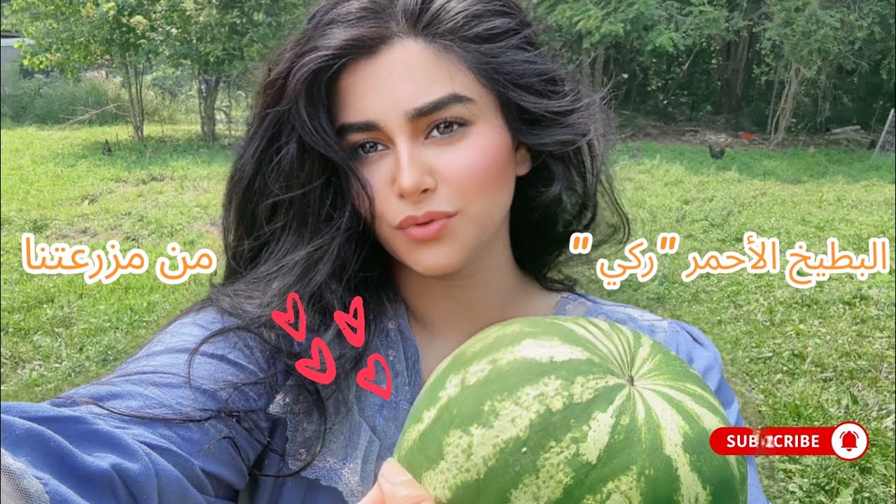 جولة في حصاد البطيخ الأحمر( ركي )من مزرعتنا 🇺🇸في امريكا نيويورك😍🍉 طعمه ولا أروع! #اكسبلور #4k #usa 