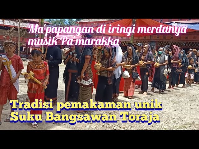 Elegan❗Ma'papangan oleh keluarga Besar Ne' Ratte di Iringi Alunan Musik Pa'marakka di Tondon Siba'ta class=