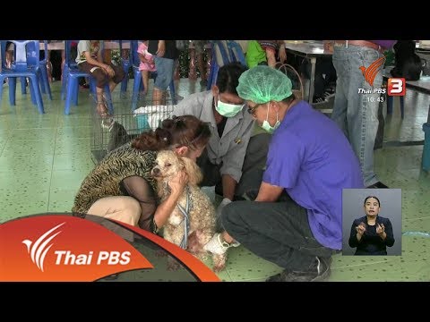กรมควบคุมโรคยึดวิธีฉีดวัคซีนพิษสุนัขบ้า 28 วันตามเดิม (9 มี.ค. 61)