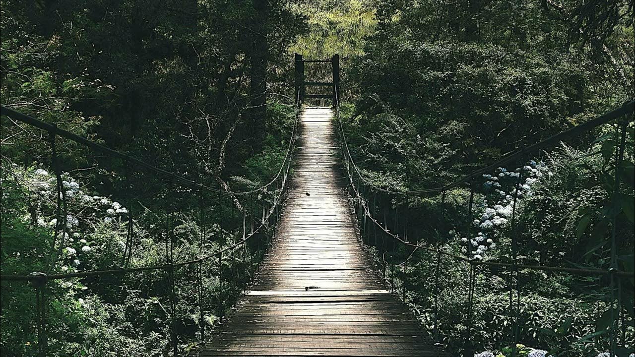 Saria's Song ("The Legend of Zelda Ocarina of Time") Made with UJAM