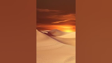 وعنت الوجوه للحى القيوم..تلاوة مباركة من سورة طه للقارئ الشيخ وليد الأزهرى..