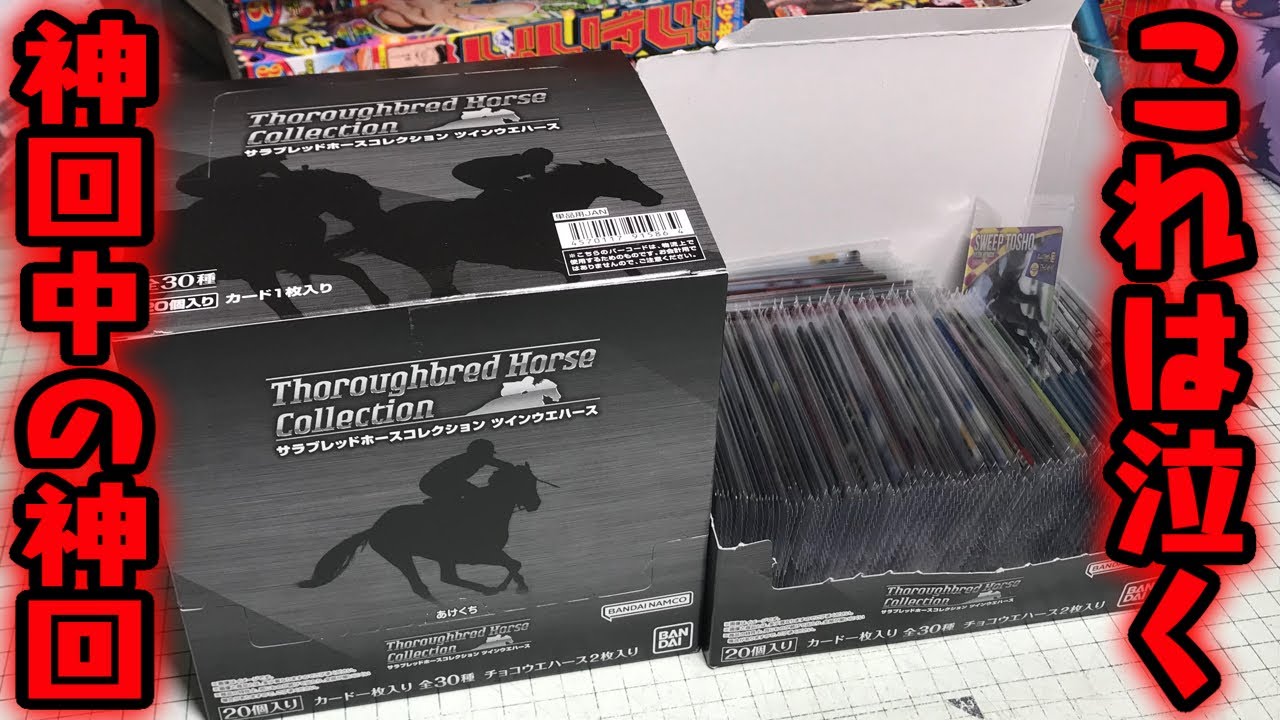 サラブレッド ウエハース 未開封15パック+サインカード4枚+α まとめ売り This will make you cry! A miracle happened with an unopened