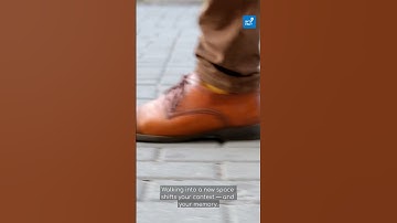 The Doorway Effect: Why You Forget Things Instantly 🚪🧠