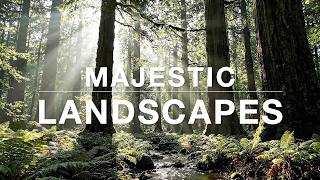 Cinematic Nature 1080p – Majestic Landscapes for Calm & Healing Relaxation