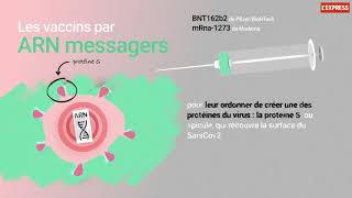 Covid-19 : Comment les vaccins fonctionnent-ils ?