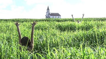 Grass Traps People In A Time loop, Once They Go In, There