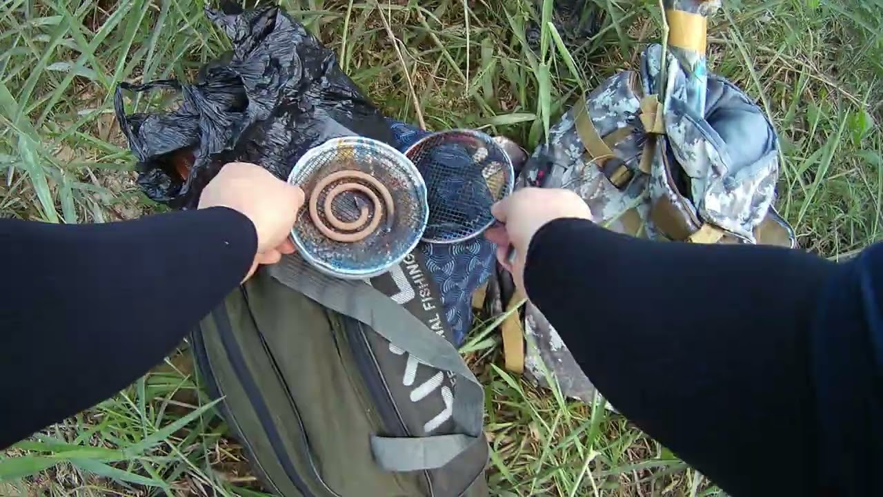 포천 영평천 낚시~ #장어낚시 #eelfishing #영평천