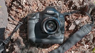 Revisiting the Canon 1D mark IV in 2023