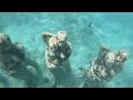 Gili air snorkeling #giliair #ocean #snorkeling #underwater #underwater#
