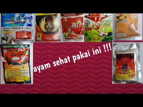 Jamu Temujin Untuk Ayam Aduan
