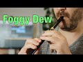 Foggy dew  tin whistle cover  irish tinwhistle traditional emotional celtic