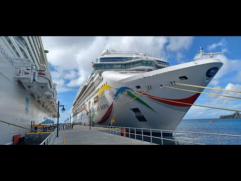 11 Day Caribbean Cruise on NCL Dawn, January 29, 2022 Tampa Florida