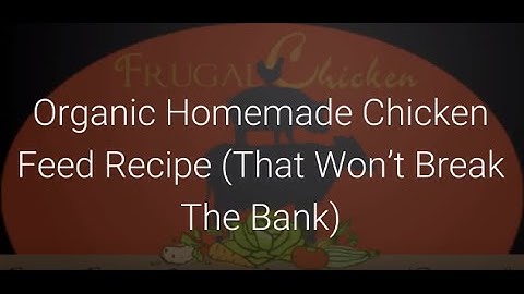 Organic Chicken Feed: A Homemade Recipe That Won