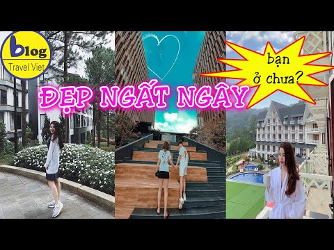 Video TOP 5 khách sạn, resort 4 sao nổi tiếng nhất Đà Lạt - youtube