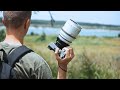 Viltrox EPIC 75mm T2 1.33X Anamorphic is Incredible!