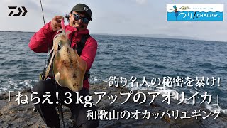 [エギング]ねらえ3kgアップのアオリイカ！和歌山のオカッパリエギング