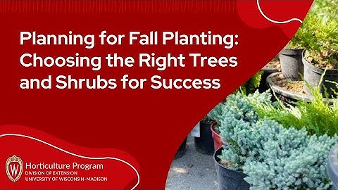 Planning for Fall Planting: Choosing the Right Trees and Shrubs for Success