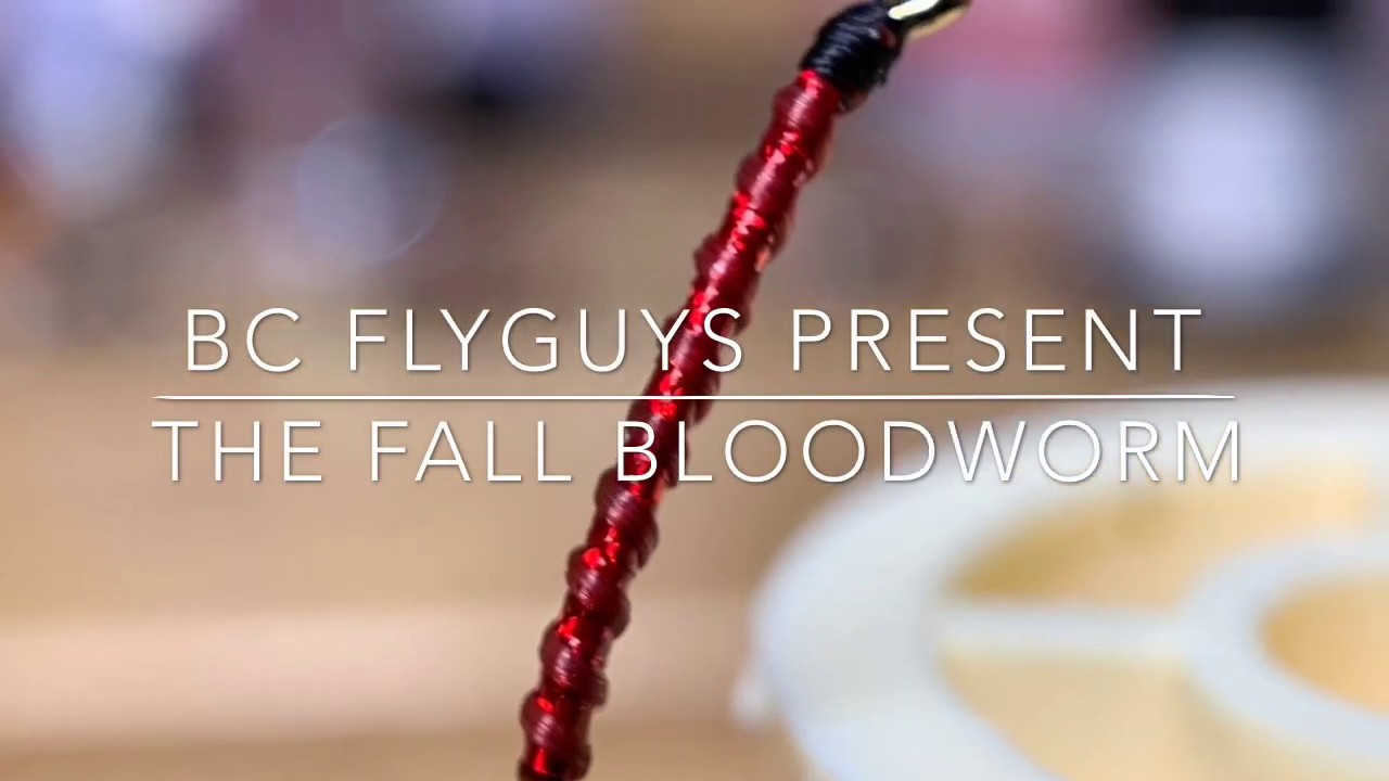 The Fall Bloodworm 