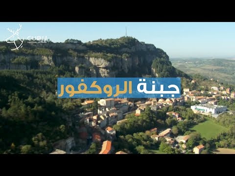 سر صناعة الجبنة الروكفور