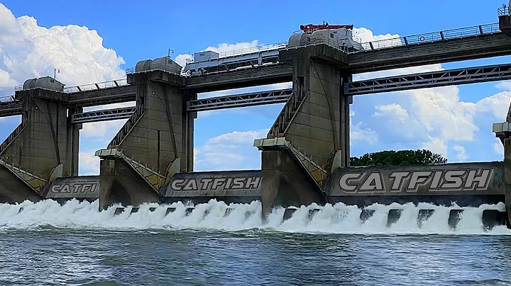 Catching Catfish Below a Huge Dam. (Hot Bite)