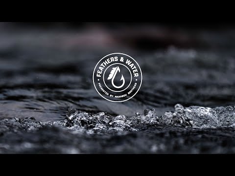 NEW Fishing Video Series Announcement & Fly Talk
