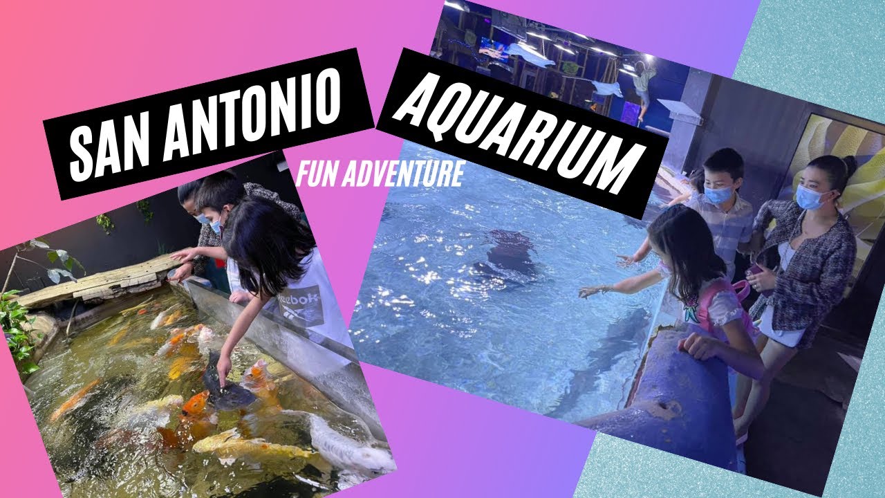 San Antonio Aquarium See To Believe Fun Adventure YouTube San Antonio Aquarium See To Believe Fun Adventure YouTube
