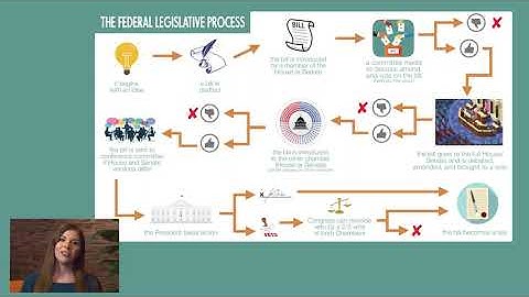 Advocacy Series: Part 2: Processes of Policymaking & Legislative Action