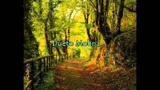 IECE. Dueto Molina Vol. 5 chords