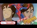 The BEST Spider Man Cartoons: Spider-Man The Animated Series & The Spectacular Spider-Man Review